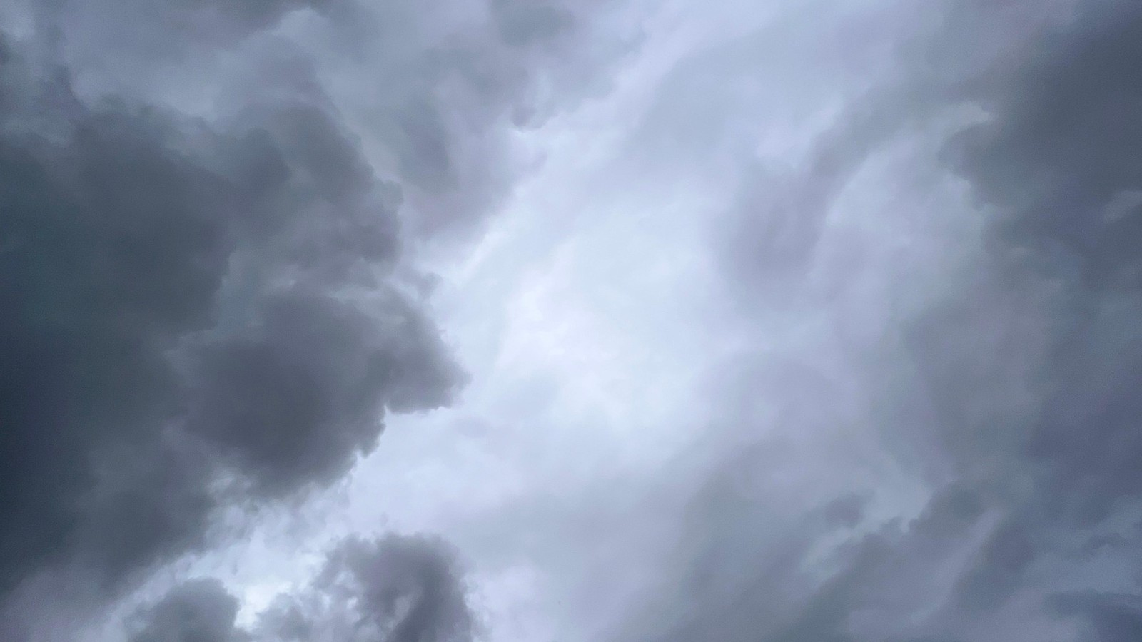 Storm og uvejr på vej: Sådan passer du på din hest